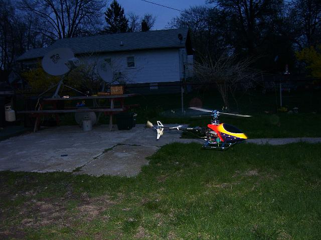 NewCanopy 006.jpg